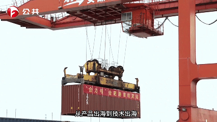 W020251215653256459262